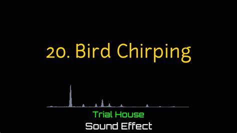 Bird Chirping Popular Troll Sound Effects Youtubers Use Trial