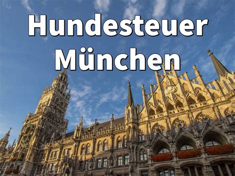 Hundesteuer München Kosten Anmelden Befreiung Hund 2025