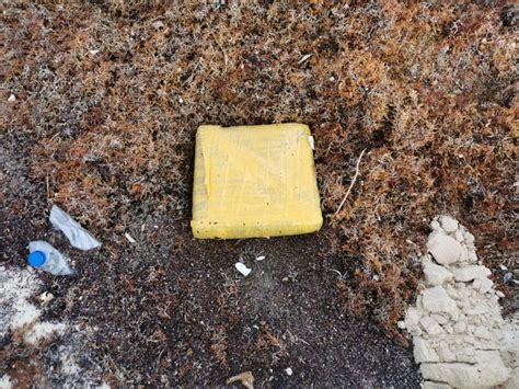 Ejército Mexicano asegura cargamento de droga en playas de Cozumel