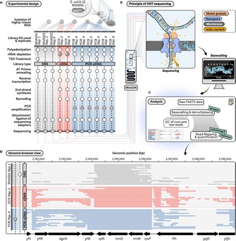 Nanopore Sequencing Of Rna And Cdna Molecules Expands The Transcriptomic Toolbox In Prokaryotes