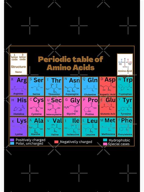 Periodic Table Of Amino Acids Spiral Notebook For Sale By Sciencestores Redbubble