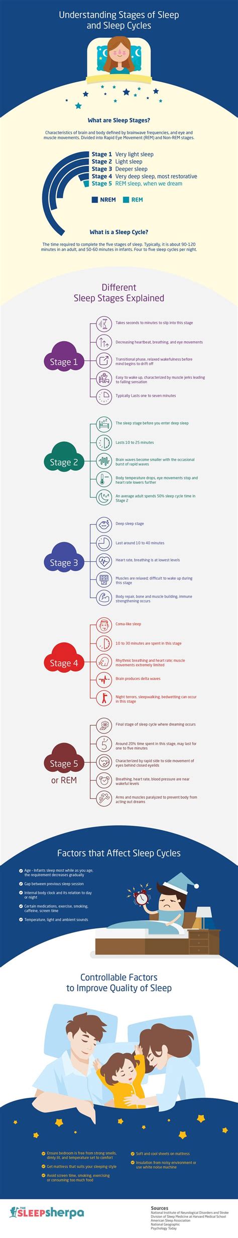 Stages Of Sleep And Sleep Cycles Explained Infographic Stages Of