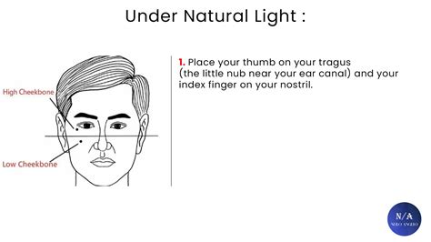 High Vs Low Set Cheekbones