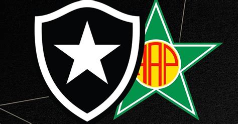 Botafogo x Portuguesa RJ ao vivo veja onde assistir horário e