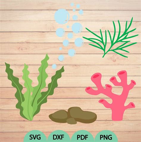 Sea Life Svg Seaweed Svg Bubbles Svg Coral Svg Ocean Life Clipart And