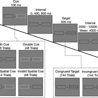 Group Level Activation Maps Surface Data Of The Five Contrasts All