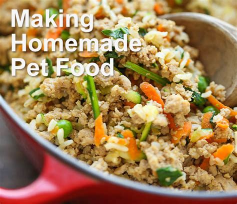 Making Homemade Pet Food | Petsourcing