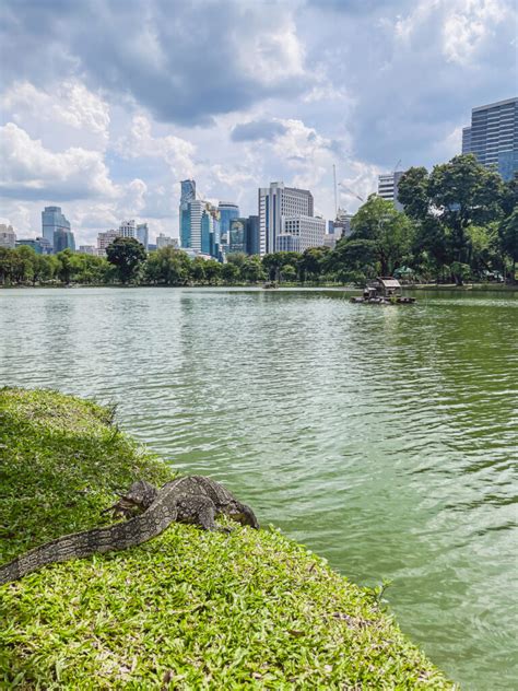 Lumphini Park Bangkok Warane Und Natur Inmitten Der Stadt