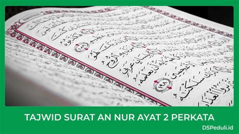 Hukum Bacaan Surat An Nur Ayat 2 Homecare24