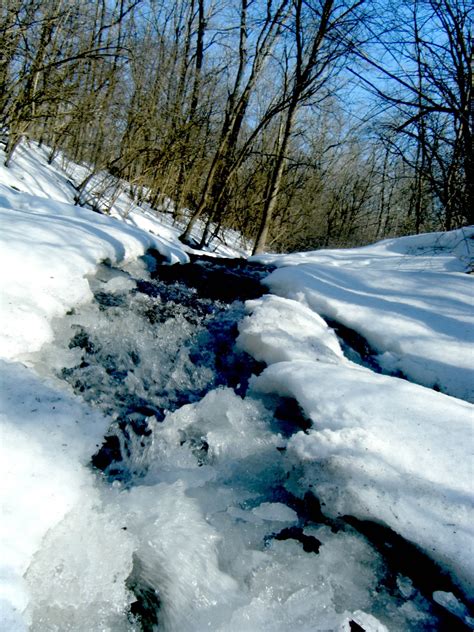 Kostenlose Foto Baum Wasser Natur Schnee Winter Frost Fluss