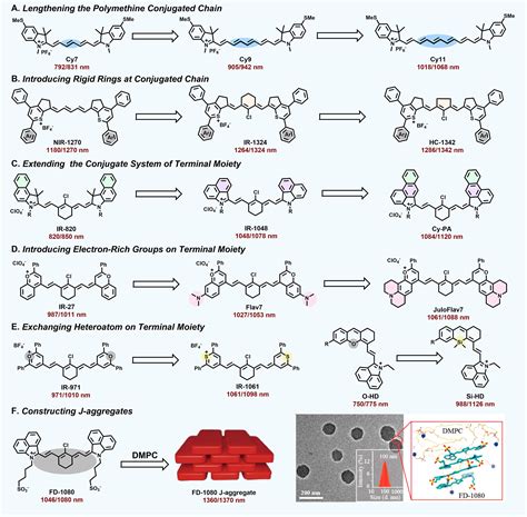 Molecular Design Of NIR II Polymethine Fluorophores For Bioimaging And