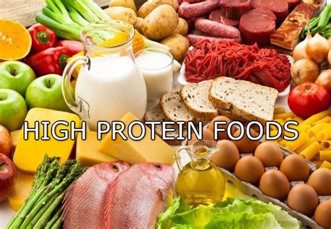 10 हाई प्रोटीन फूड्स जो आपको जानना चाहिए। 10 High Protein Foods You Should Khow Video Kosh