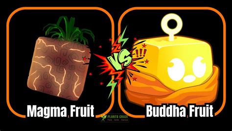 Is Magma Better Than Buddha? [A Guide For Blox Fruits]