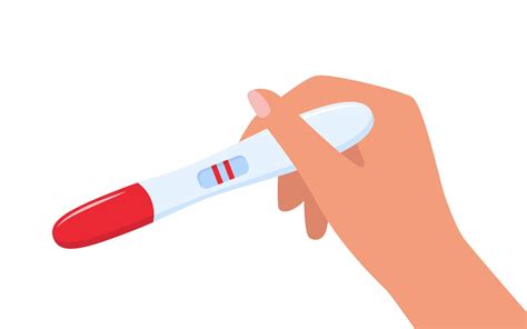 Pregnancy Test With Two Lines In Womans Hand Positive Pregnancy Test