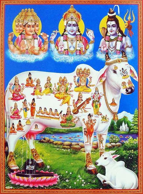 Kamadhenu poster – Artofit