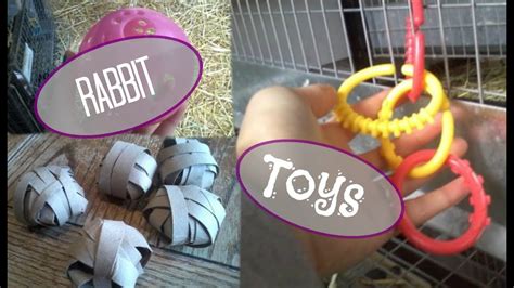 Rabbit Toys What Toys Are Good For Rabbits Rabbit Toy Ideas YouTube