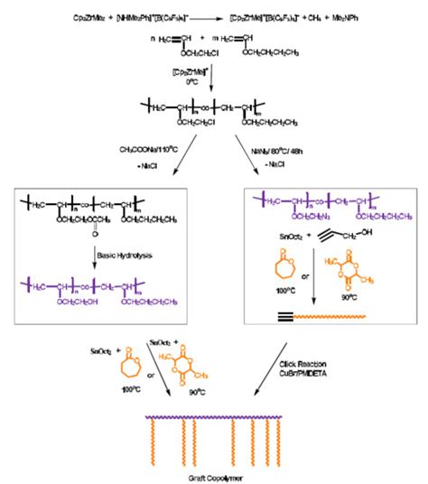 Polymers Free Full Text Statistical Copolymers Of N Butyl Vinyl