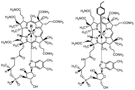 Structural Formulas Of Some Relevant Cobalamins Left Active Forms Of