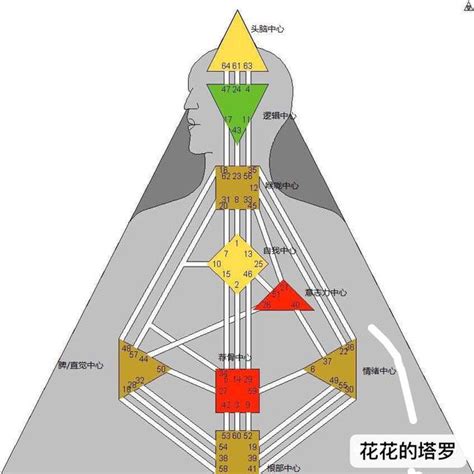 「人類圖，我們人生的說明書」和花花一起解讀自己 每日頭條