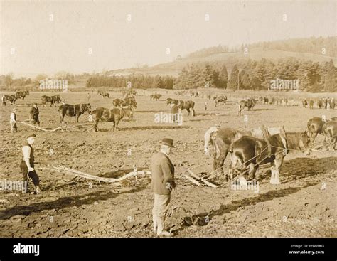 1800s farm machinery hi-res stock photography and images - Alamy