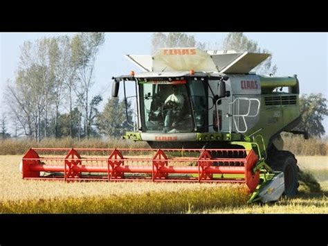 Claas Lexion760 TerraTrac Mietitura Riso Rice Harvest 29 10 2016