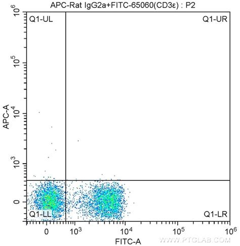 CD16 32 Rat anti Mouse APC Clone 93 Proteintech 100 μg Fisher