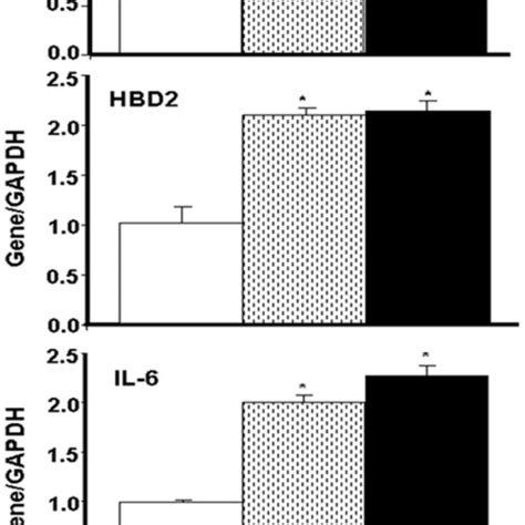 Confluent 80 Gingival Epithelial Cell Cultures Were Incubated With