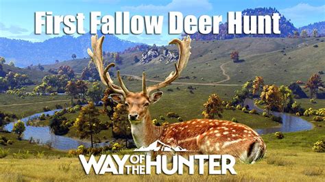 Way Of The Hunter First Fallow Deer Hunt Youtube