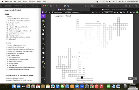 Solved Assignment 2 The Cell Chegg