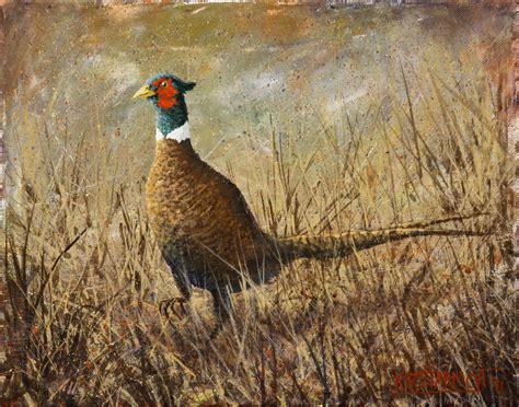 Pheasant Run Acrylic On Canvas In Critters Wildlife And Birds