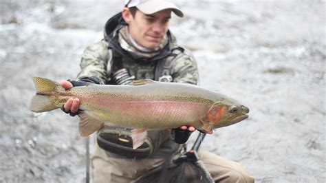 Trip Prep — Trout Yeah Fly Fishing Guide Service