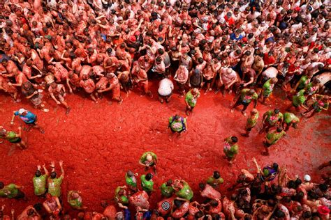 la tomatina celebrates  years  tomato fuelled chaos  fruit