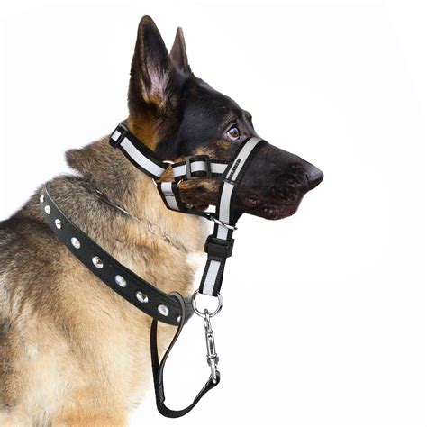 Dog Head Collar No Pull Gentle of Leader for Dogs, Adjustable Dog Head