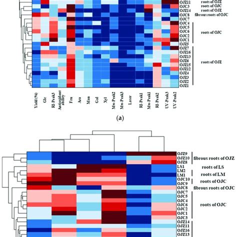 Hierarchical Clustering And Heat Map Of Batches Of Maidong