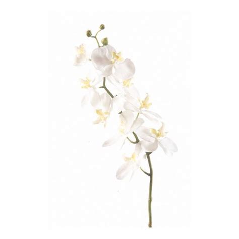 Rama de orquídeas phalaenopsis artificial ANAE blanco 75cm