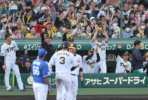 ＜神・中＞6回2死満塁、大山の同点打 に沸く阪神ナイン（撮影・大森 寛明） ― スポニチ Sponichi Annex 野球