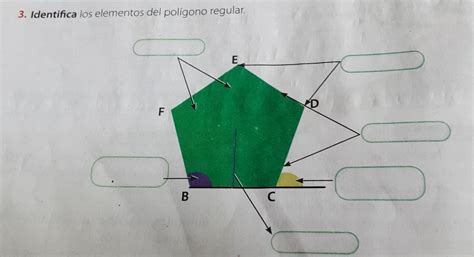 identifica los elementos del polígono regular Brainly lat