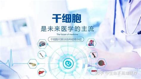 生命系：深挖干细胞的作用和功效，间充质干细胞前景光明 知乎