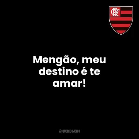 Clube De Regatas Do Flamengo Frases Perfeitas Querido Jeito