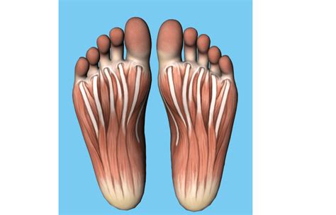 How To Cure Plantar Fasciitis In One Week Unlock Relief