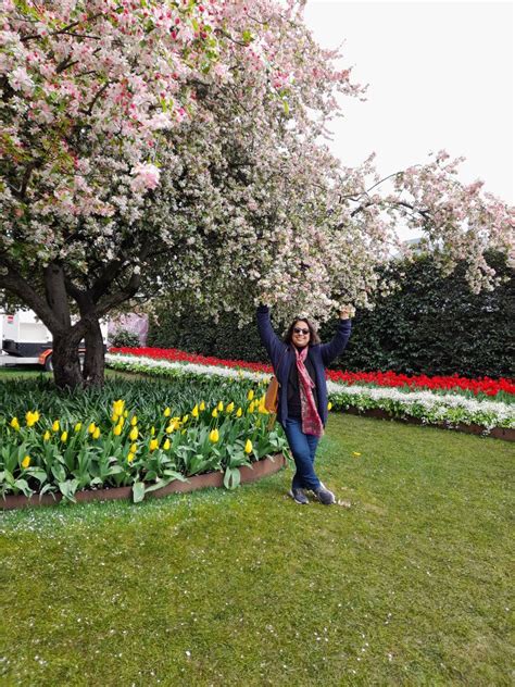 ACLA Bowral Tulip Festival – Armenian Apostolic Church of Holy Resurrection