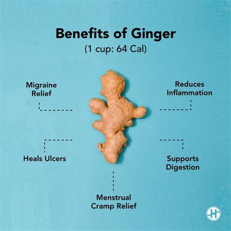 Ginger Benefits Nutritional Value And Ways To Add Ginger Healthifyme