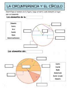 C Rculo Y Circunferencia Idioma Espa Ol O Castellano Curso Nivel