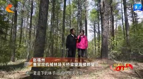 【记者在基层 行走看变化】塞罕坝瞭望者：做“林海之眼” 守绿水青山