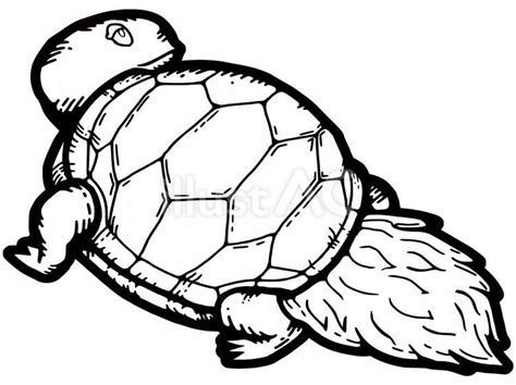 Turtle Clip Art Black And White