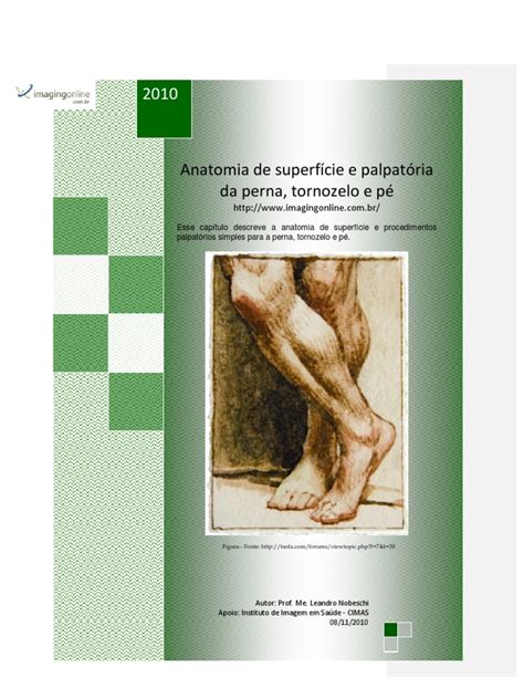 PDF Anatomia de Superfície e Palpatória da Perna Tornozelo e Pé