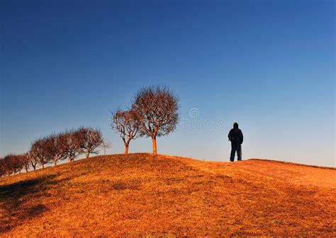 Alone With Nature Stock Images - Image: 9273794