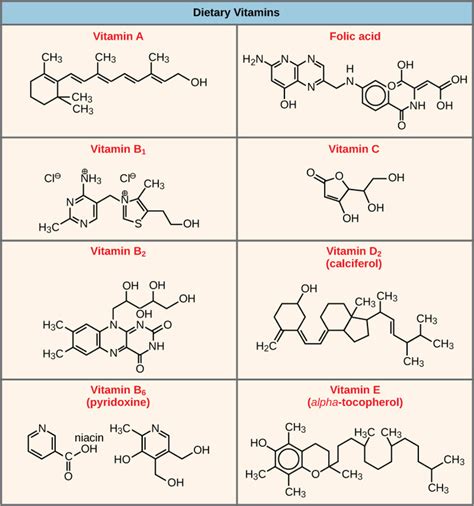 Enzymes Structure