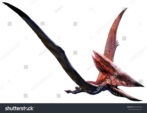 Thalassodromeus 3d Illustration Stock Illustration 595251689 Shutterstock