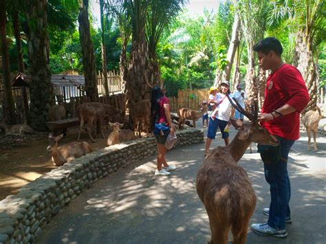 Bali Zoo Park Darshan Bali Tours